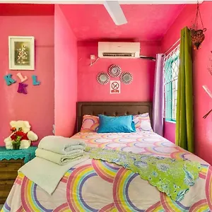 Colorful Private Oasis Homestay